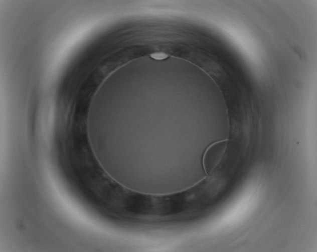 X0000114420383200910161234