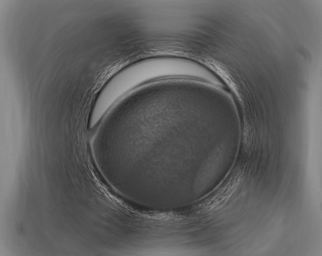 X0000114420385200910161233
