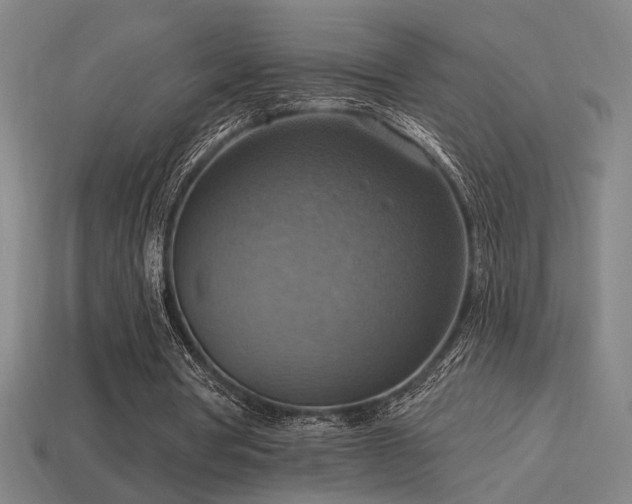 X0000114420386200910161233