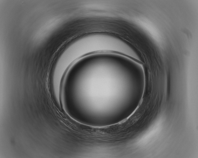 X0000114420387200910161233