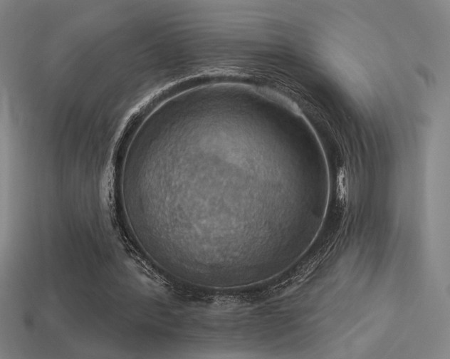 X0000114420388200910161233