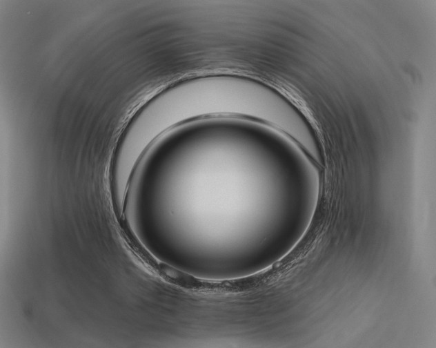 X0000114420389200910161233