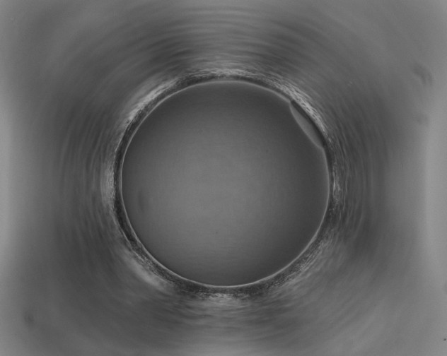 X0000114420390200910161233