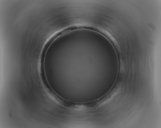 X0000114420391200910161233