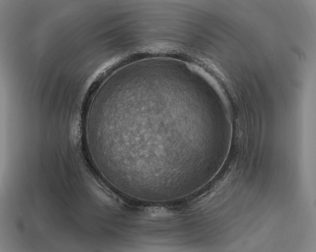 X0000114420392200910161233