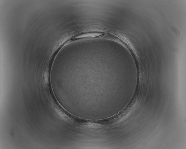 X0000114420393200910161233
