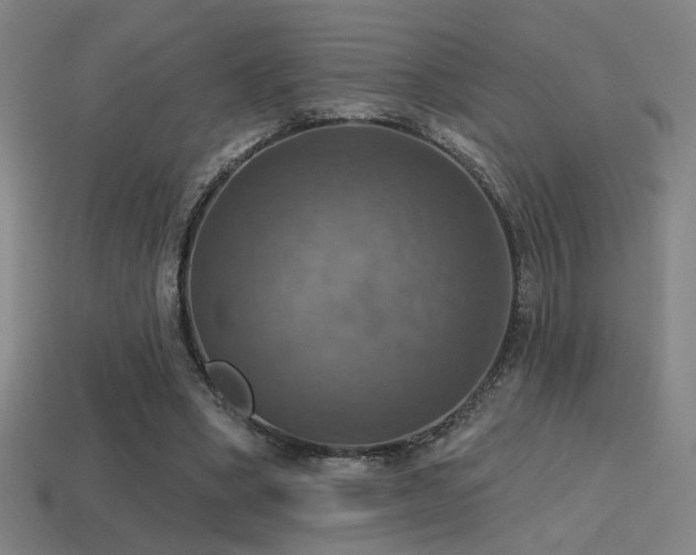 X0000114420394200910161233
