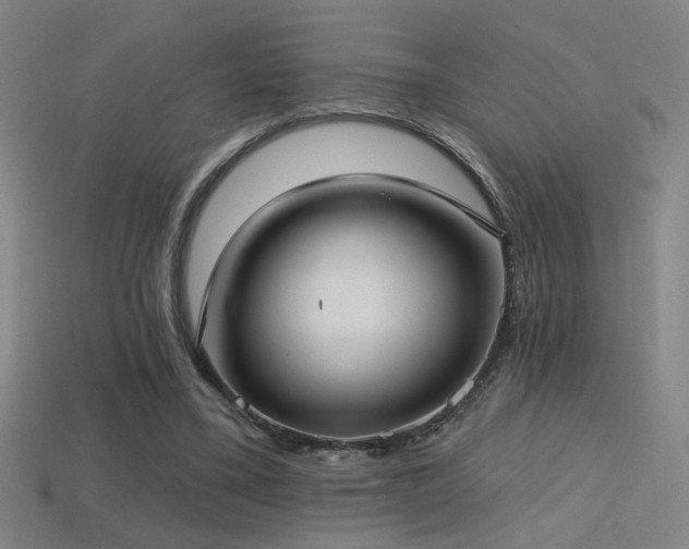 X0000114420395200910161233