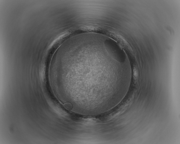 X0000114420396200910161233