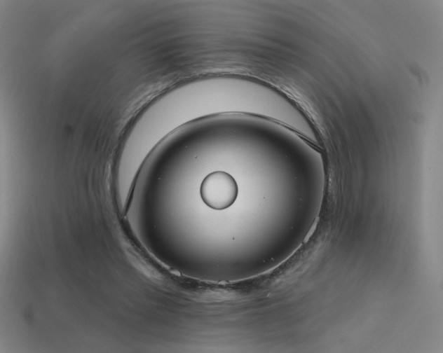 X0000114420397200910161233