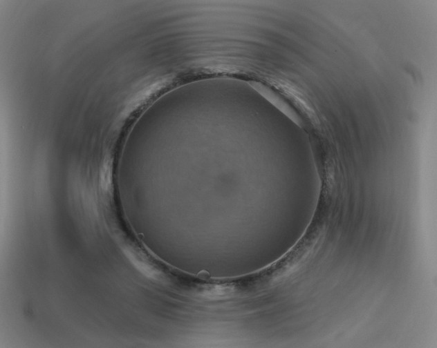 X0000114420398200910161233