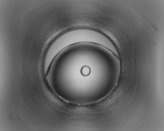 X0000114420399200910161233