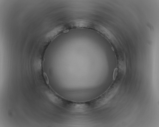 X0000114420401200910161233