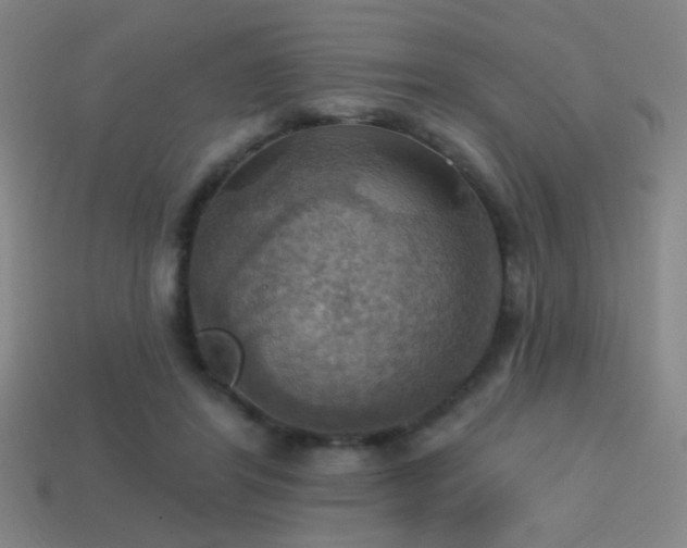 X0000114420404200910161233