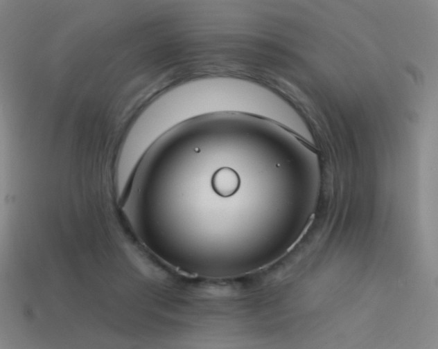 X0000114420405200910161233