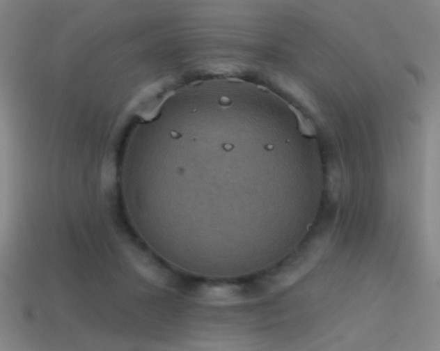 X0000114420407200910161233