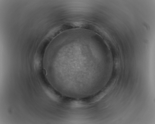 X0000114420408200910161233