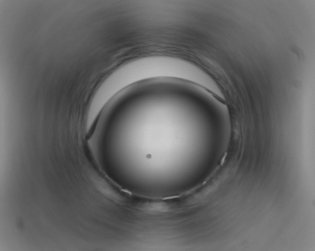 X0000114420409200910161233