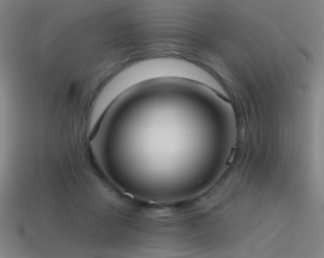 X0000114420411200910161233