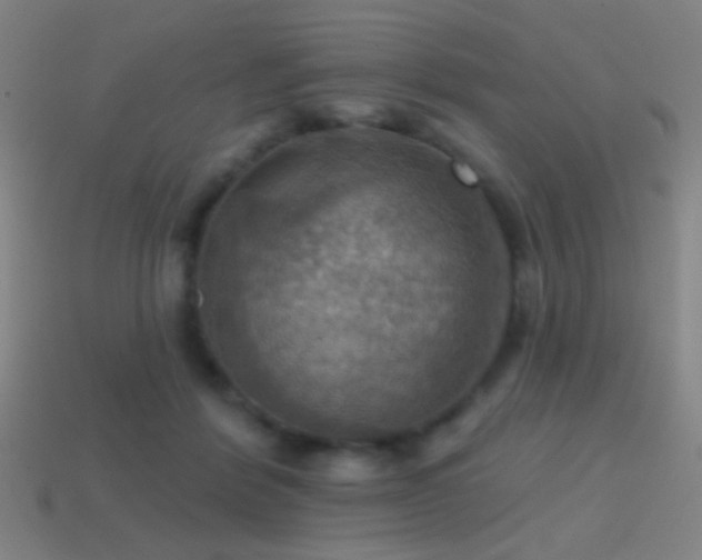 X0000114420412200910161233