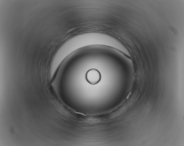 X0000114420413200910161233