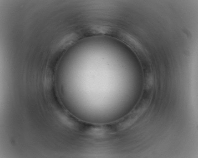 X0000114420414200910161233