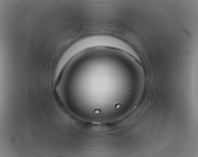 X0000114420415200910161233