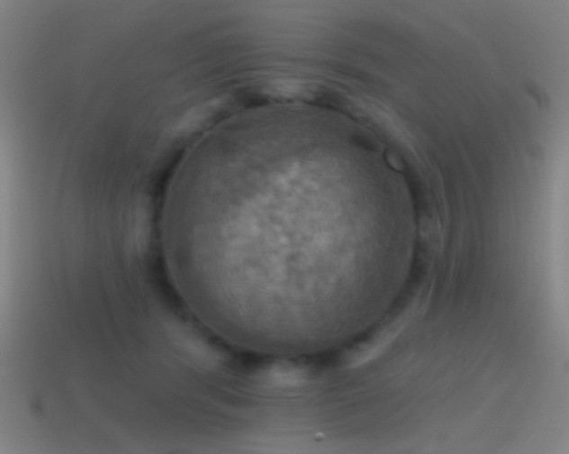 X0000114420416200910161233