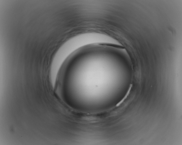 X0000114420417200910161233