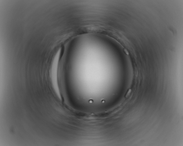 X0000114420419200910161233