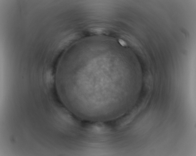 X0000114420420200910161233
