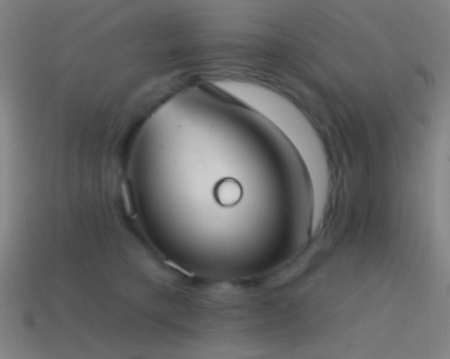 X0000114420421200910161233