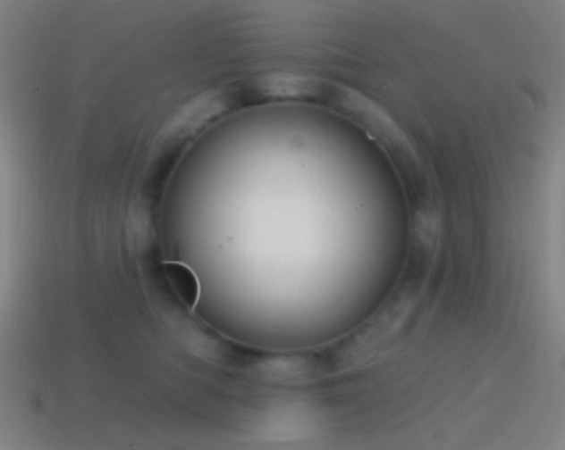 X0000114420422200910161232