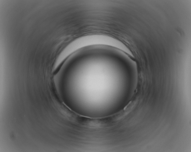 X0000114420423200910161232