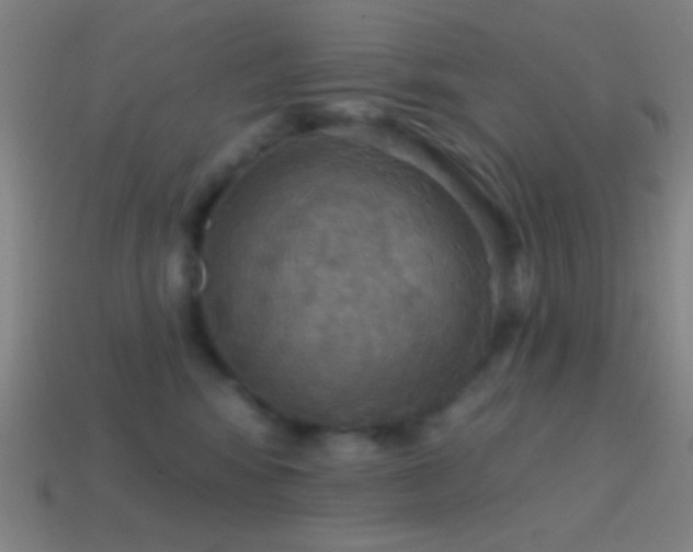 X0000114420424200910161232