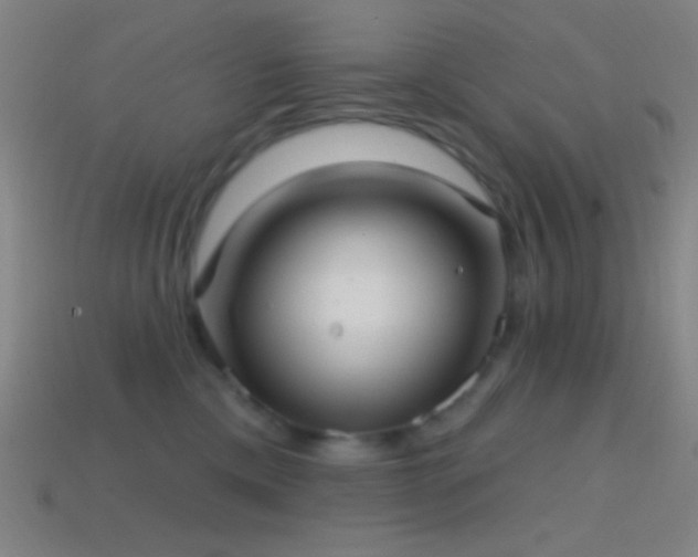X0000114420425200910161232