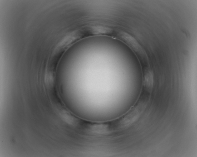 X0000114420426200910161232