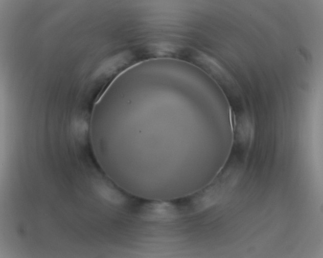 X0000114420427200910161232