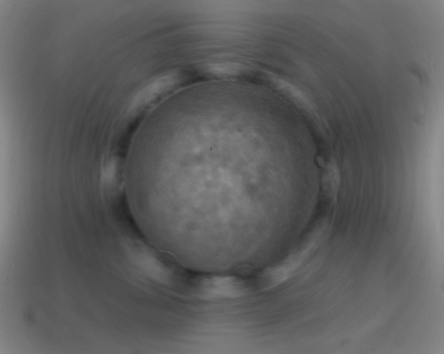 X0000114420428200910161232