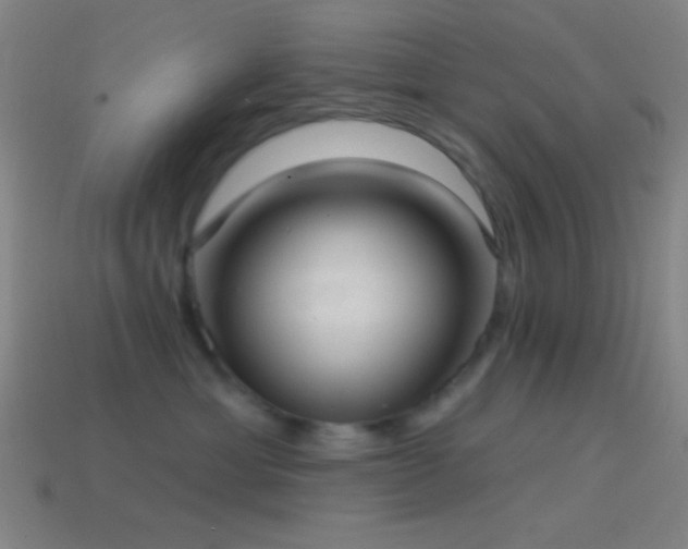 X0000114420429200910161232