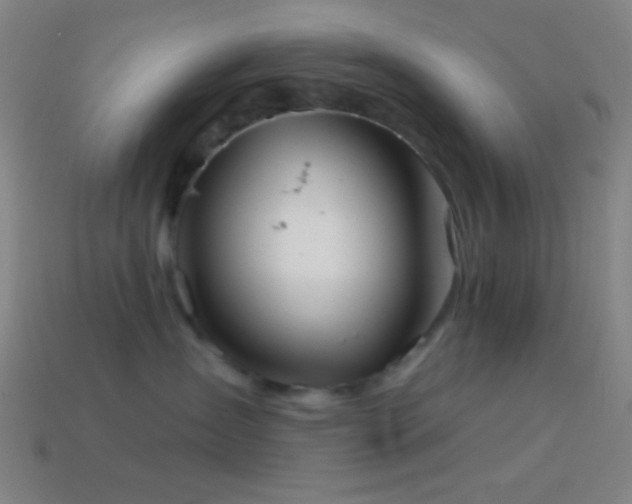 X0000114420431200910161232