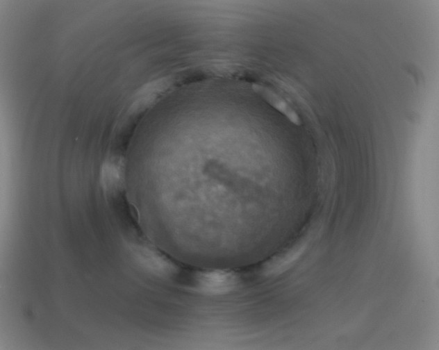 X0000114420432200910161232