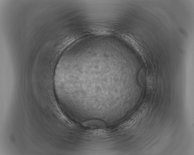 X0000114420433200910161232