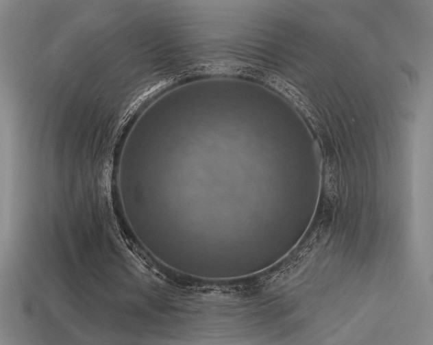 X0000114420434200910161232