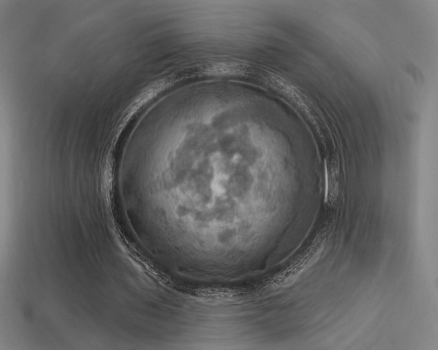X0000114420435200910161232