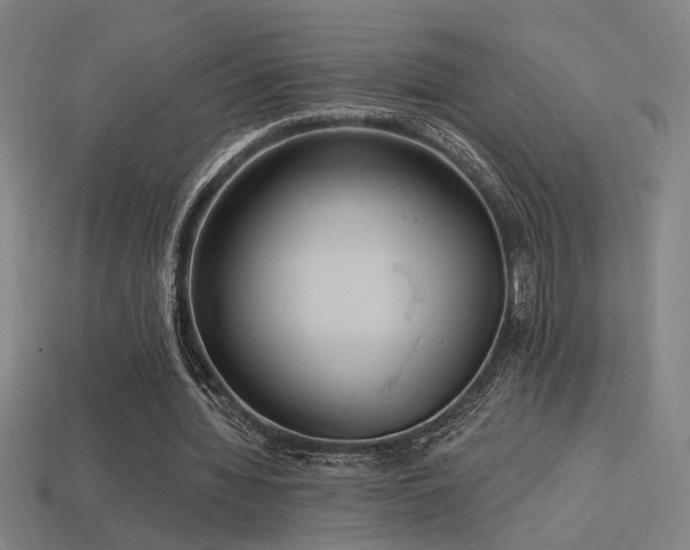 X0000114420436200910161232