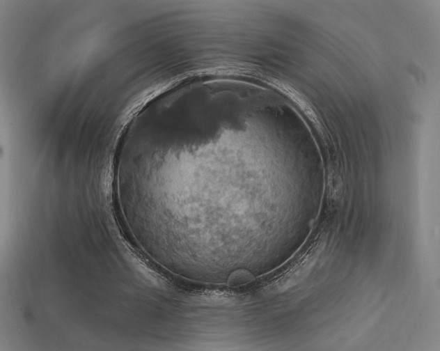 X0000114420437200910161232