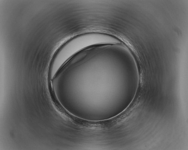 X0000114420438200910161232