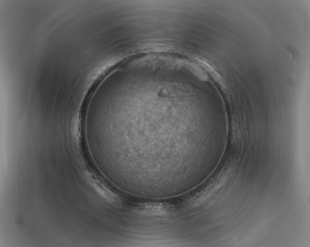 X0000114420439200910161232