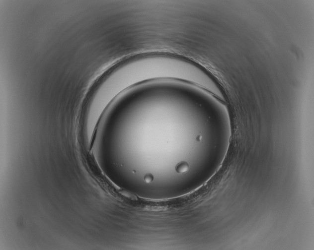 X0000114420440200910161232